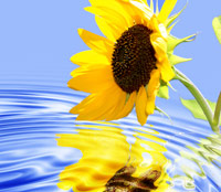 Praxis für Ergotherapie und Prävention Andrea E. Eckert - Prävention